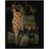 Velocity Systems Scarab LE / LT Plate Carrier - Latest Gen - Medium, Multicam